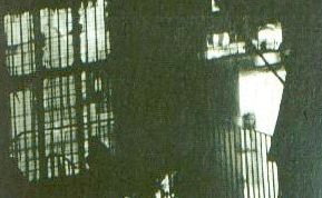Mujer de Wem